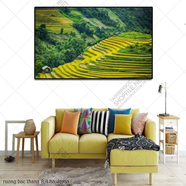 ruong bac thang 8 4 ho
